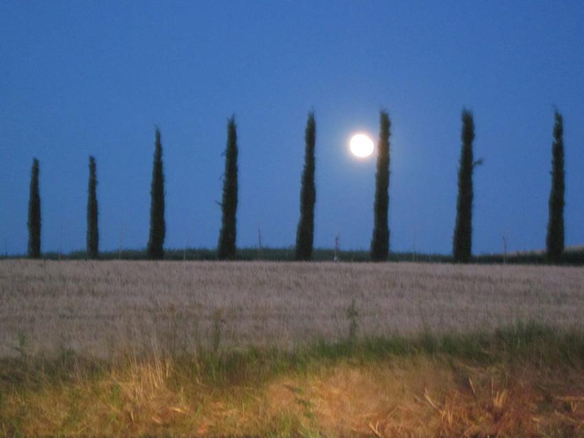 Agriturismo Torrenieri Da Alessandro Pienza Exterior foto