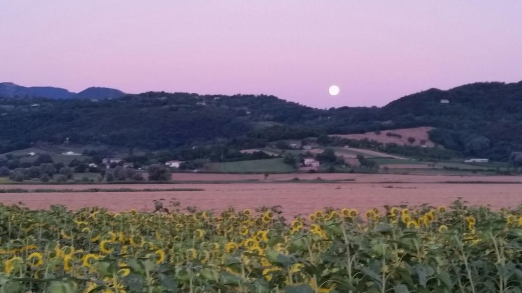 Agriturismo Torrenieri Da Alessandro Pienza Exterior foto
